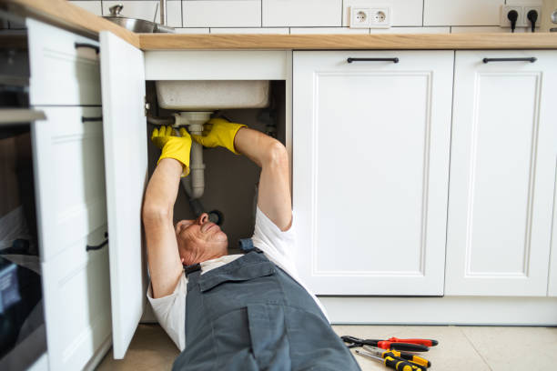 Best Residential Plumbing Services  in Steger, IL